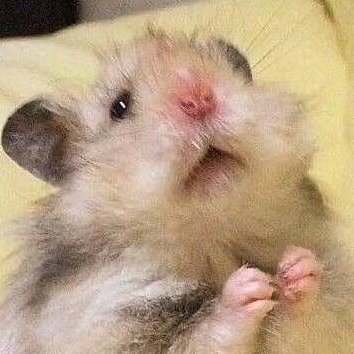 BB_or_FF's profile picture. +  Private zone +
No good behavior here
Just close circle and private
สาขาวงเขียวแท้ ทวิตไพรเวทจริงๆ ไม่ไหวแร้ว