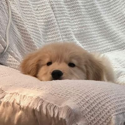 🌻さんのプロフィール画像