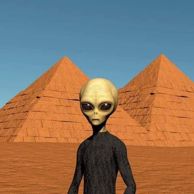 homeislou's profile picture. hard liquor mixed with a bit of intellect