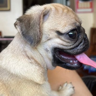 astr0hoee's profile picture. 