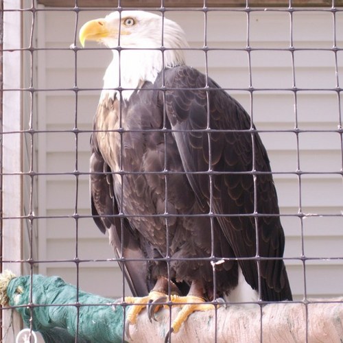 Pluck464's profile picture. Uniform Services