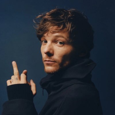 45 | 🇩🇪 | A Louie with all my ❤️ | 👂to 1D since ‘22 | 💚💙 | Also adoring Harry ☺️ | Show count: Louis 6x + SoccerAid, Harry 1 x, Niall 1 x