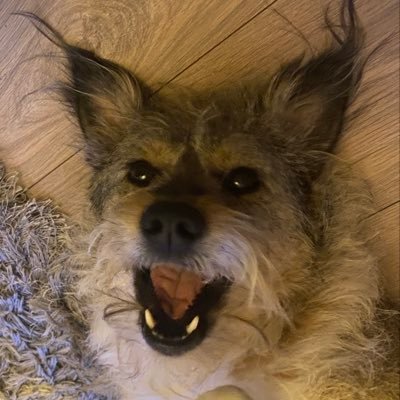 WrenGrim's profile picture. :) They/He 20