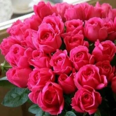 Shirwings's profile picture. My circle is small , because I am into quality , not quantity. 🔥