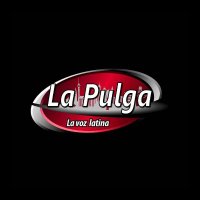 La Pulga La Voz Latina (@lapulgadelv) 's Twitter Profile Photo