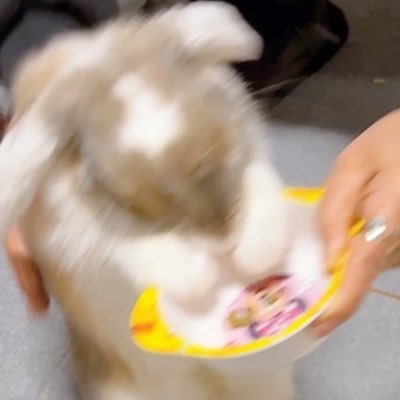 _0524_23's profile picture. 귀 큰 롭이어토끼 바바 うさぎ 🤎 2305~ing🐰 재개시 금지. Do not repost. 저장금지.  Don't save.
