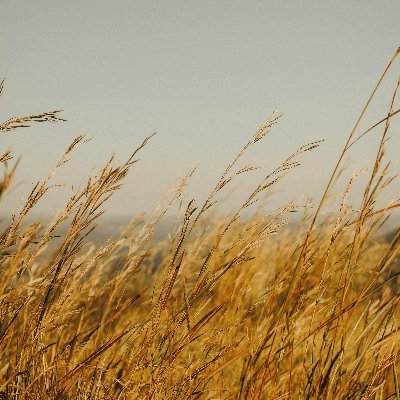 notaboomer24's profile picture. 