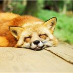 経営者/投資家。ビジネス失敗から、再起し複数社経営。現在はお得な情報をお伝えしたり、自身がお金に苦労したので生活に困窮している人を助けたいと思い、少しですがお金配り企画をしております☆ 詳しくはこちらから⇒https://t.co/wr25fROJTX