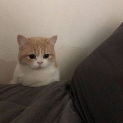 VPo0Am5b6cYvY0O's profile picture. 20↑valo.ow