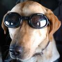 Richard S. Lowry - @RichardLowry - Twitter