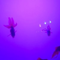 ゆゆ (@skagmna0000) Twitter profile photo