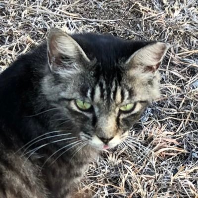 aevbLTBWnqopSwP's profile picture. 20↑ 見る専用 気ままに生きていたい🌱