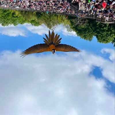 jesuisla_______'s profile picture. Praticien hospitalier, papa X2 non divorcé, curieux et ouvert