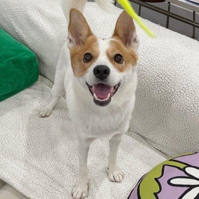 YangKeYeh's profile picture. 