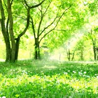 麗子先生 (@369reiko) 's Twitter Profile Photo 麗子先生 (@369reiko) 's Twitter Profile Photo