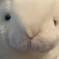 竹羽あづま (@takeazwa) 's Twitter Profile Photo