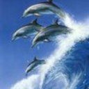 Karen Daye - @kadeda1 - Twitter