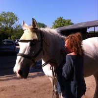 LillyGarlic (@alisontuckett7) 's Twitter Profile