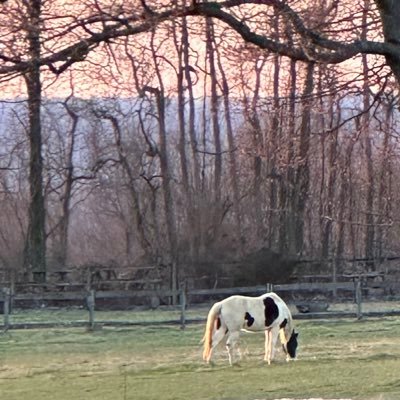 beachtwins63's profile picture. 