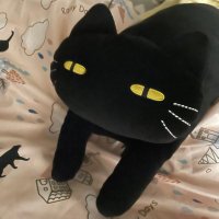 ネコファイター (@o54dcyic1h3326) 's Twitter Profile