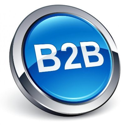 b2b_salespro's profile picture. B2B sales professional sharing insights on sales strategy, process & performance in a dynamic AI driven market. #b2bsales, #marketing, #ai