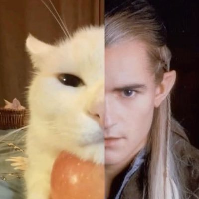 mercymainnnn's profile picture. she/her/they/them ੈ♡ lotr enjoyer ੈ♡ look at my funny retweets ੈ♡