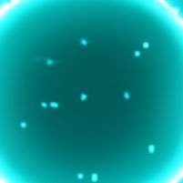 Rom_0024's profile picture. 成人済 20↑