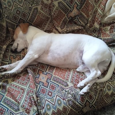 CallejonParron's profile picture. Fc Barcelona y UD Almería