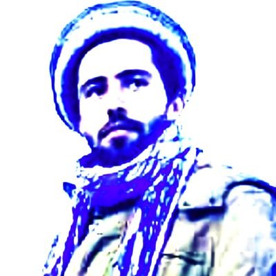 دانش آموختهٔ علوم سیاسی - روابط بین الملل و عضو جنبش آزادیبخش«جبهه مقاومت ملی»