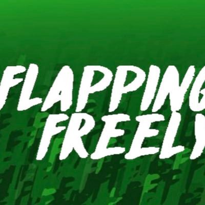 FlappingFreely's profile picture. チームFlapping freely #ワールドベスト #こっちはガチってんだよ！ #boostseries #boostoil #AIRFIT入ってる #wahoo #wahooligan