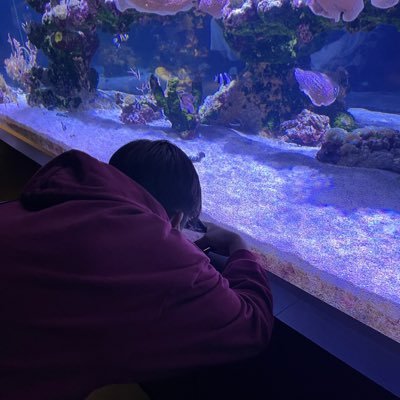 shu161616189401's profile picture. 
