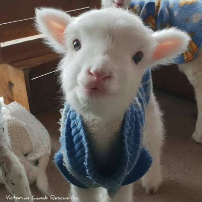 Sacgitt's profile picture. is it safe to just be who we are?