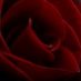 Leanne Castle (@castle_lea83942) Twitter profile photo Leanne Castle (@castle_lea83942) Twitter profile photo