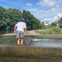 おかめ (@uagl2pqaad31541) Twitter profile photo