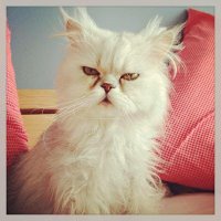 Hz UYKULU (@hzuykulu43009) Twitter profile photo