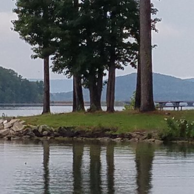 l_ruck43919's profile picture. Ephesians 1:4-10
Ephesians 5:8-16
Ephesians 6:10-18
Family
MAGA