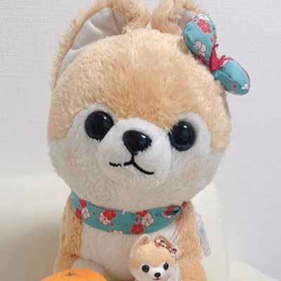 sasuke_k0ume's profile picture. 夫婦揃って豆しば三兄弟のさすけ＆小梅ちゃんの虜🐶