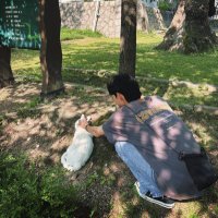 yon (@yns0ttts) 's Twitter Profile