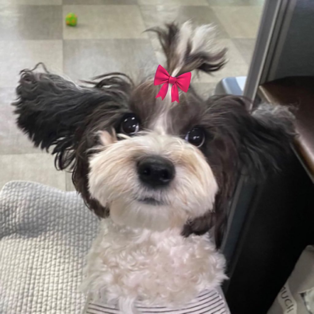 하늘さんのプロフィール画像