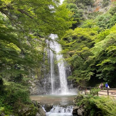 slokojiki_64's profile picture. Poker垢作りました。 KKPoker 20f/50fポーカー勉強中です。 お見かけしたことある方フォローさせてもらってます。 スロとか色々しながらポーカーに募金してます🐟