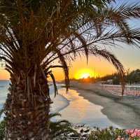 Raddelord2906 (@thomasradloff2) 's Twitter Profile Photo