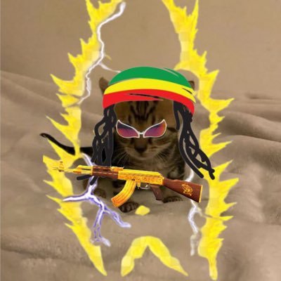 KRYPTOBUDDER_'s profile picture. Eat dips not chips