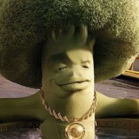 Skyland Mcfarland (@whomplord69) 's Twitter Profile