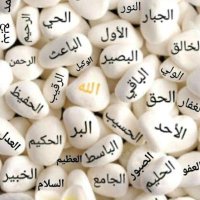 اغرد بذكر الله سبحانه (@vip____511) 's Twitter Profile