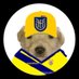 Elvis (@elvis98738283) Twitter profile photo Elvis (@elvis98738283) Twitter profile photo