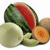KTP's Melons World๐๐ (@ktpsmelonsworld) Twitter profile photo KTP's Melons World๐๐ (@ktpsmelonsworld) Twitter profile photo