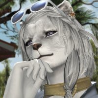 わんこ・ソリドール (@wolfsolidor) 's Twitter Profile