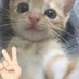 daiiii (@daidaixionggg) Twitter profile photo daiiii (@daidaixionggg) Twitter profile photo