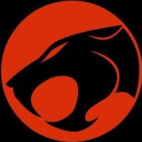 D (@condor211) 's Twitter Profile