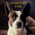 Gilbert ⚡ (@dogman4life) Twitter profile photo Gilbert ⚡ (@dogman4life) Twitter profile photo